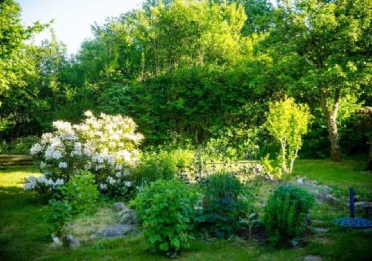 L'Embellie Bed & Breakfast Bertignat Exterior photo